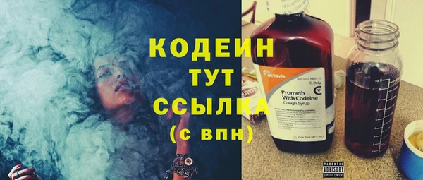 шишки Балахна