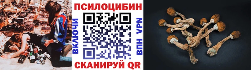 Галлюциногенные грибы прущие грибы Инза
