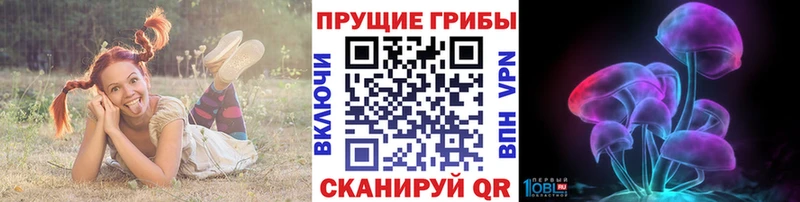 Галлюциногенные грибы мицелий  где найти   Инза 